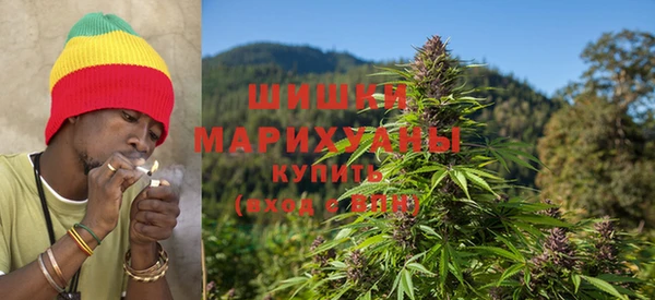 Альфа ПВП Бородино