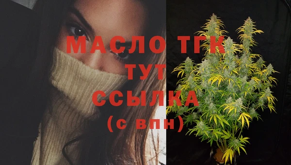 Альфа ПВП Бородино