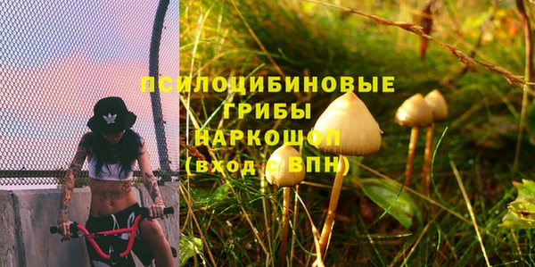 МДПВ Бронницы